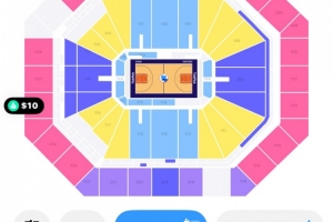 离谱！WNBA总决赛G3最低票价仅需10美元！