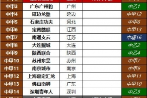中甲球队2025赛季排名和2024赛季排名对比