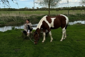 哈弗茨妻子社媒晒视频+发文，悼念去世的爱马：无比思念你