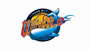 媒体人：四川男篮今日正常体测 每天4个队&早上8点到晚上19点50