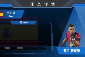 费兰球员集锦：跑位潇洒 射术一流的西班牙前锋