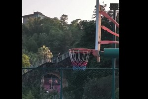 网友透露这位老爷爷打球到80多岁！50多年保持晨练！